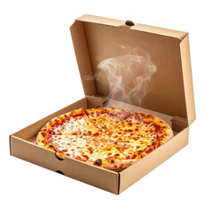 Hot, Steaming Cheese Pizza Freshly Delivered in a Cardboard Box