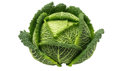 Fresh green savoy cabbage isolated PNG, healthy vegetable with crinkled leaves on transparent background for cooking and nutrition concepts