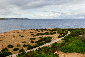 Coastal Nature Path Through Green Bushes to the Sea Under a Cloudy Sky