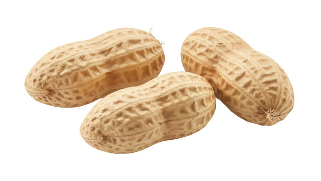 Three peanuts isolated PNG on transparent background, healthy snack food with brown shell and textured surface for nutrition and culinary use