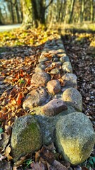 Kamienny mur © WalDec