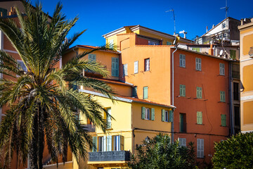 palm trees, colourful houses, menton, south of france, french riviera, cote d'azur, europe
