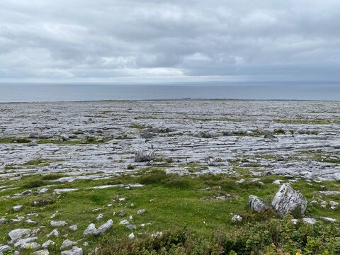 Paysage karstique de calcaire &agrave; Murrooghtoohy South dans le Burren