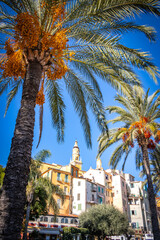 palm trees, colourful houses, menton, south of france, french riviera, cote d'azur, europe © Andrea Aigner