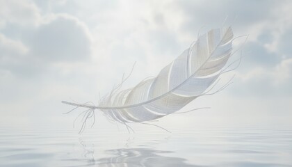 Single delicate feather floating above soft pale water surface in gentle diffused light creating a serene airy abstract moment with refined minimal tone
