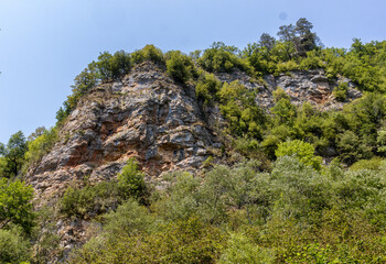a green forest area in a mountainous area is the transition of nature to an autumn state