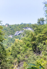 a green forest area in a mountainous area is the transition of nature to an autumn state