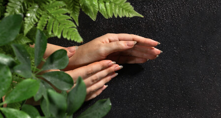 Female hands with long natural nails without coating, manicure not painted. Natural black background with houseplants of fern and schefflera flowers.