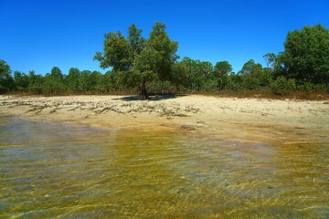 Entre Mer et Mangrove