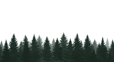 dense silhouette of old-growth pine and fir trees rendered in deep hunter green watercolor with brushstrokes, high-key white background copy space, minimalist panoramic illustration, concept of