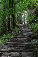 Cascade de Torc (Torc Waterfall) dans le parc national de Killarney, comt&eacute; de Kerry