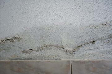 Damaged damp house wall with damp patches after a water pipe burst