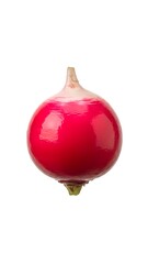 One single fresh red radish isolated on a white background. Vertical close-up of a raw organic root vegetable ingredient.