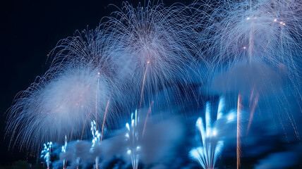 fireworks in the night sky