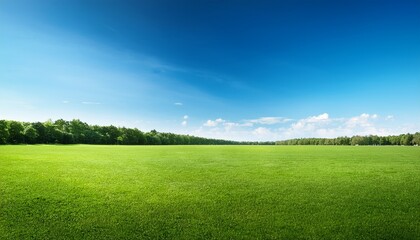 Obraz premium Expansive Green Grass Field And Forest Line Under Clear Blue Sky