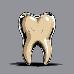 vector image of a human tooth