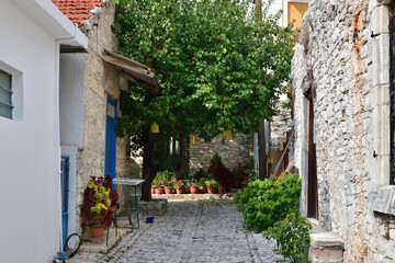A street in the traditional village of Lania in Cyprus