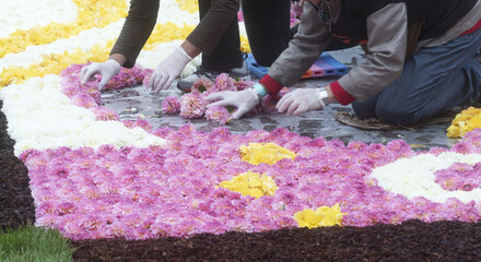 Brussels Flower Carpet, held in the Grand-Place Showing two individuals arranging vibrant flower petals on the ground to form a decorative flower carpet.