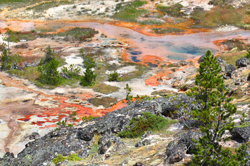 Artist Paint Pots Yellowstone