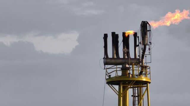 Offshore flare gas is the excess natural gas from oil and gas production facility that is burned in a flare stack for safety reasons.
