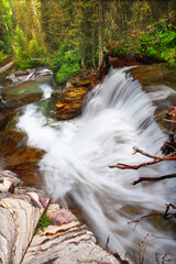 Beautiful waterfall flows through the pine forests of Glacier National Park in Montana
