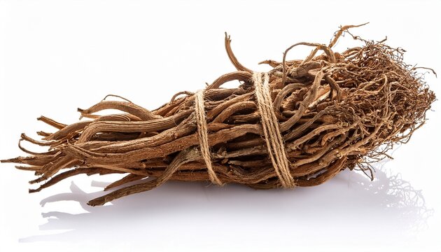 photo of alkanet root isolated on white background