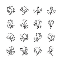 Magnolia  black line art