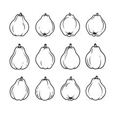 Quince Fruits black line art