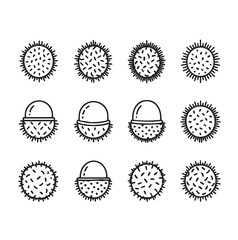 Rambutan Fruits black line art
