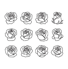 Rose head black line art