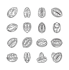 Walnut Fruits black line art