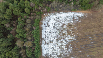 Aerial Belarus winter boundary of conifer forest and plowed field