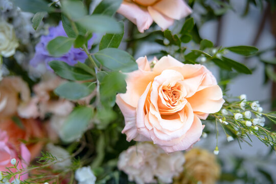 Rose Flower Eucalyptus Garden Wedding Arrangement Background