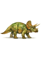 Fototapeta premium Triceratops dinosaur illustration isolated on white background, kids art