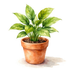 Obraz premium Potted houseplant illustration isolated on white background, indoor greenery