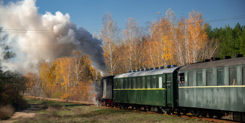 The locomotive is running. Autumn landscape and the movement of the locomotive. Narrow-gauge railway.   © Valerii