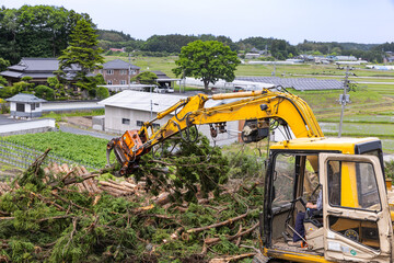 林業機械グリップルアタッチメントによる伐採作業