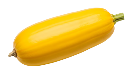 Single Yellow Zucchini Squash Vegetable Product Shot Isolated on White Background