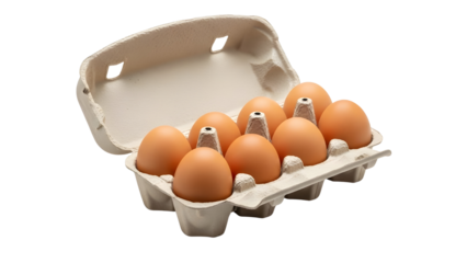 Fresh Brown Chicken Eggs in Open Recycled Paper Carton Product Shot Isolated on White Background