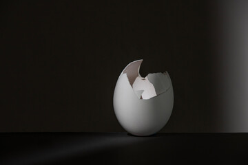 卵の殻　たまご　孵化　割れる　エッグ