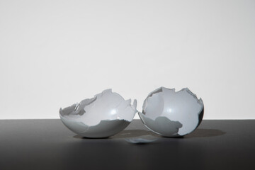 卵の殻　たまご　孵化　割れる　エッグ