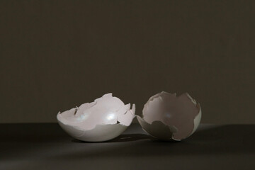 卵の殻　たまご　孵化　割れる　エッグ