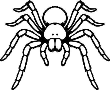 Tarantula spider outline vector black icon isolated illustration image decal design