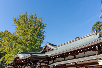 お寺の風景