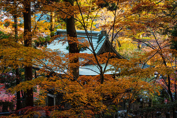 空きを感じる風景