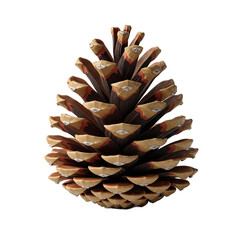 Detailed close-up of a brown pinecone with visible scales and textured surface isolated on a white background