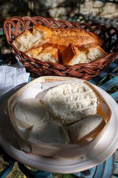 Variety of French soft cheeses, saint-marcellin, rocamadour, bouchon de chevre goat cheese, palet des causses from sheep's milk