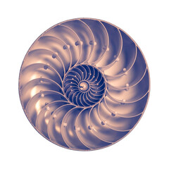A detailed cross-section of a nautilus shell revealing its intricate spiral chambers and natural geometric beauty
