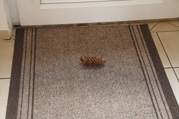 Brown doormat on tiled floor by a door, with a pine cone lying in the center. Indoor entryway scene with a lone pine cone on a mat.