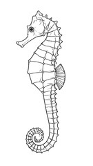 A monochrome sketch of a seahorse, outlined with detailed lines, curls its tail, and stares